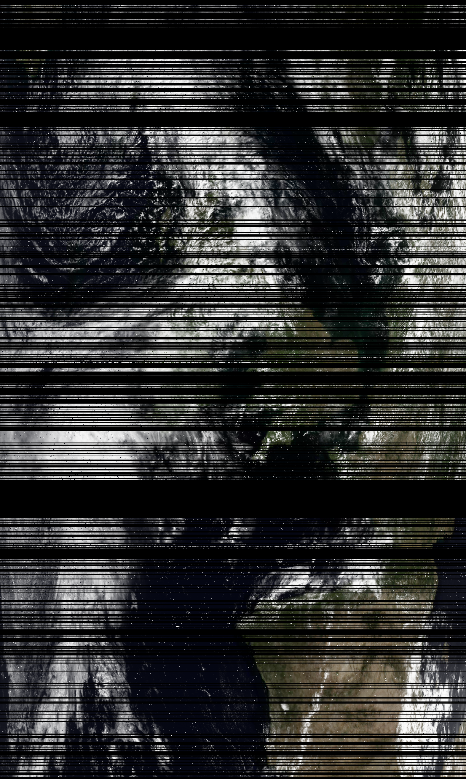 msu_mr_rgb_MSA.png
